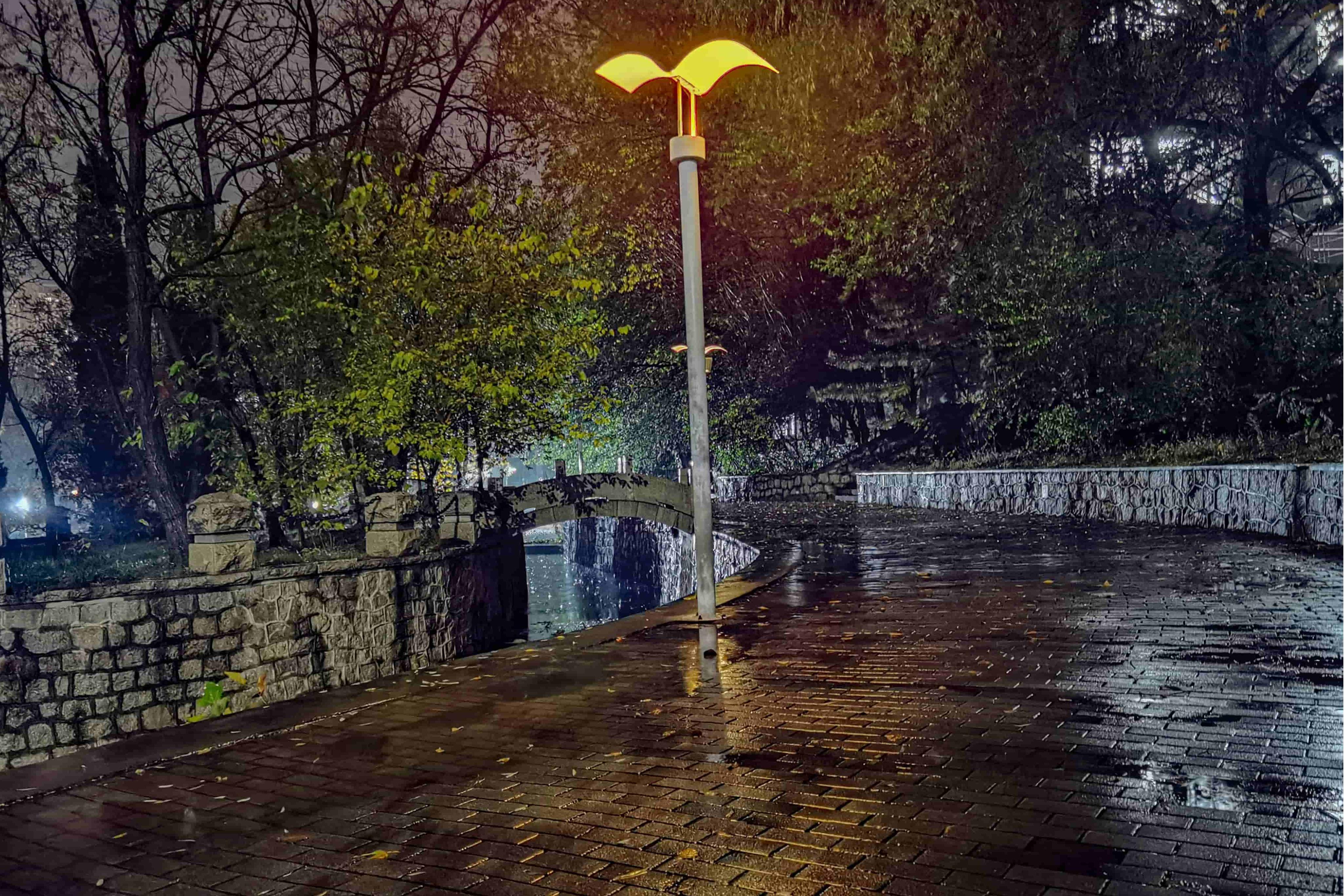 https://file.y1xuanyun.cn/photo/DSC07890.jpg