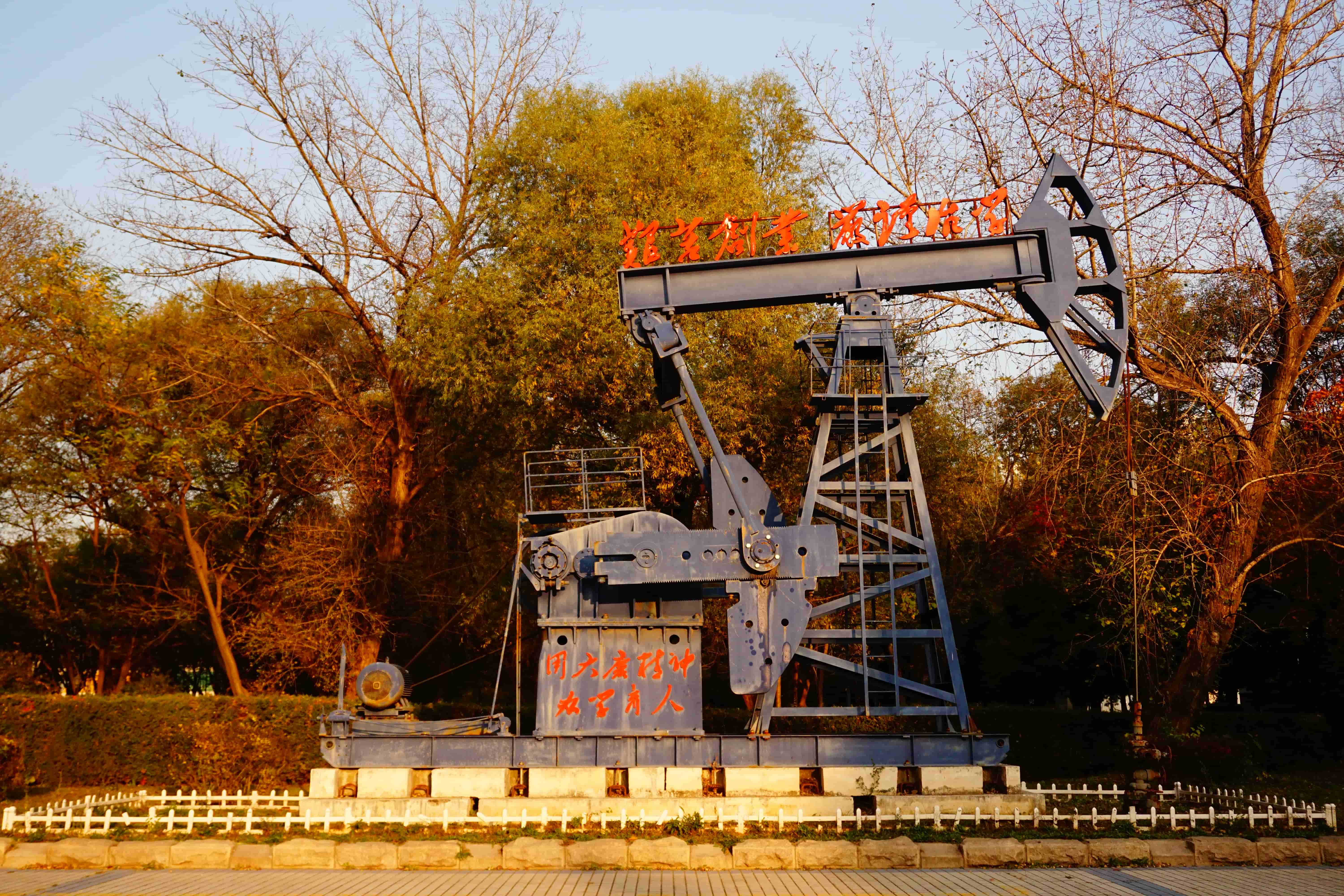 https://file.y1xuanyun.cn/photo/DSC07904.jpg