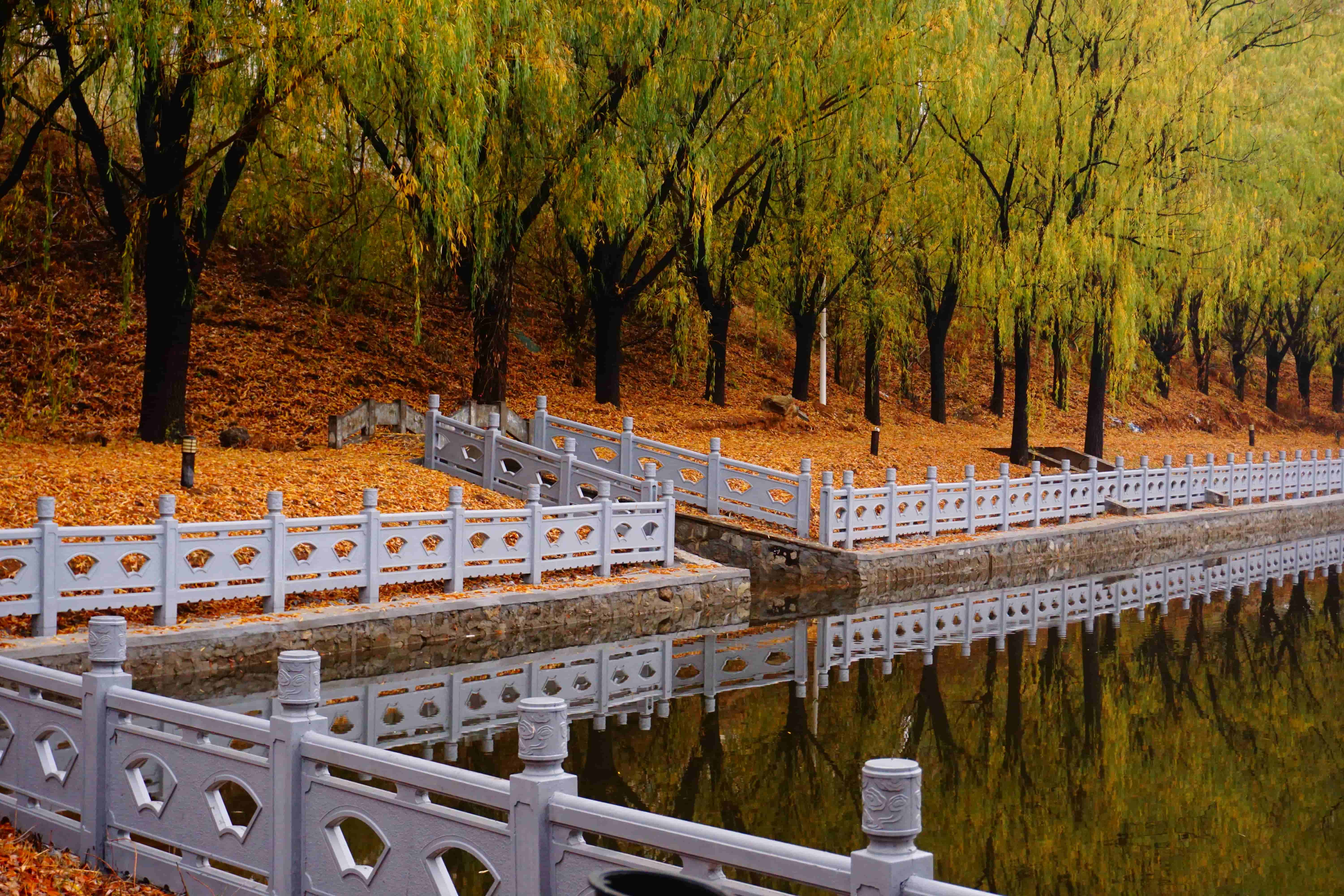 https://file.y1xuanyun.cn/photo/DSC08049.jpg