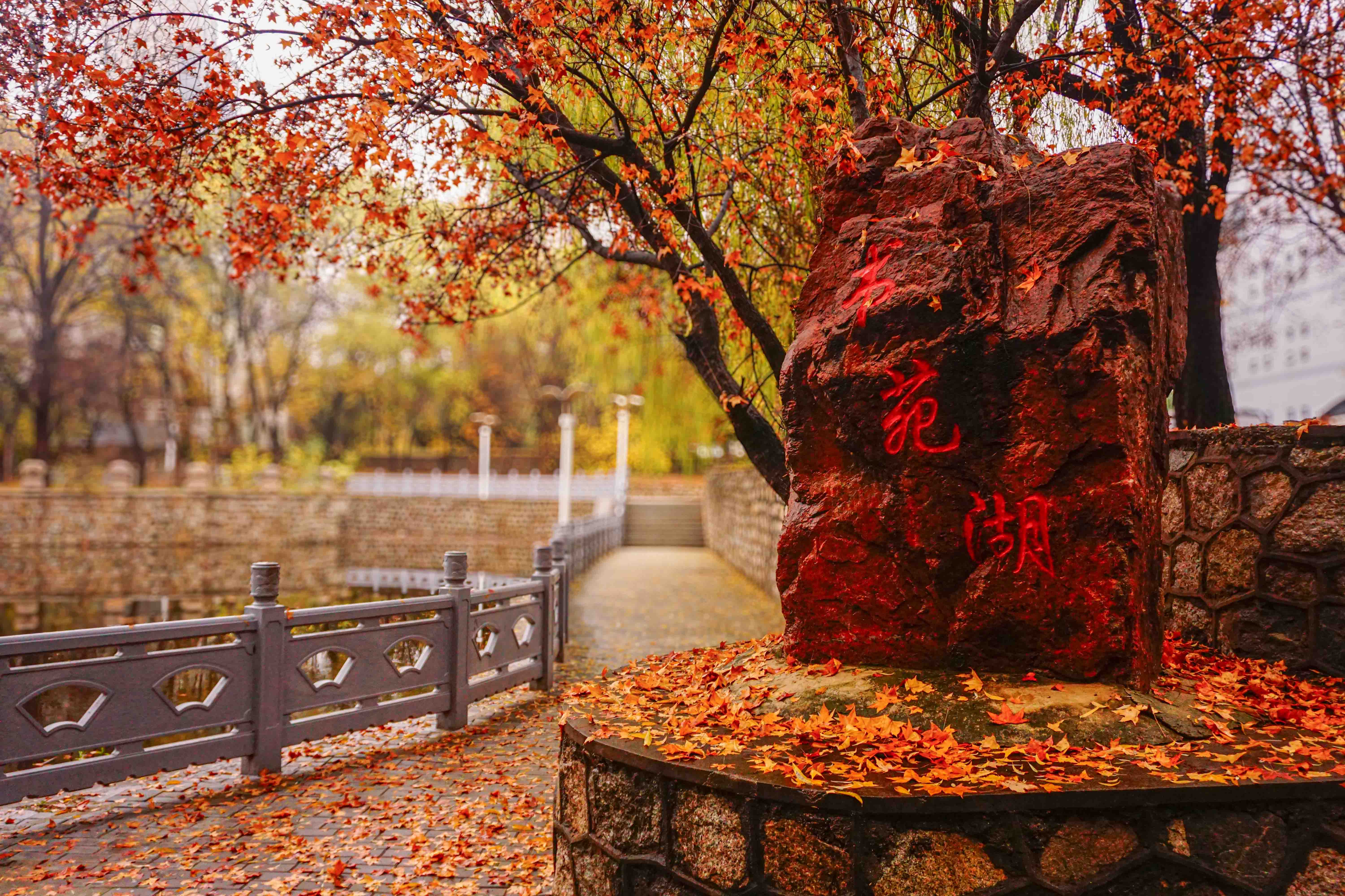 https://file.y1xuanyun.cn/photo/DSC08066.jpg