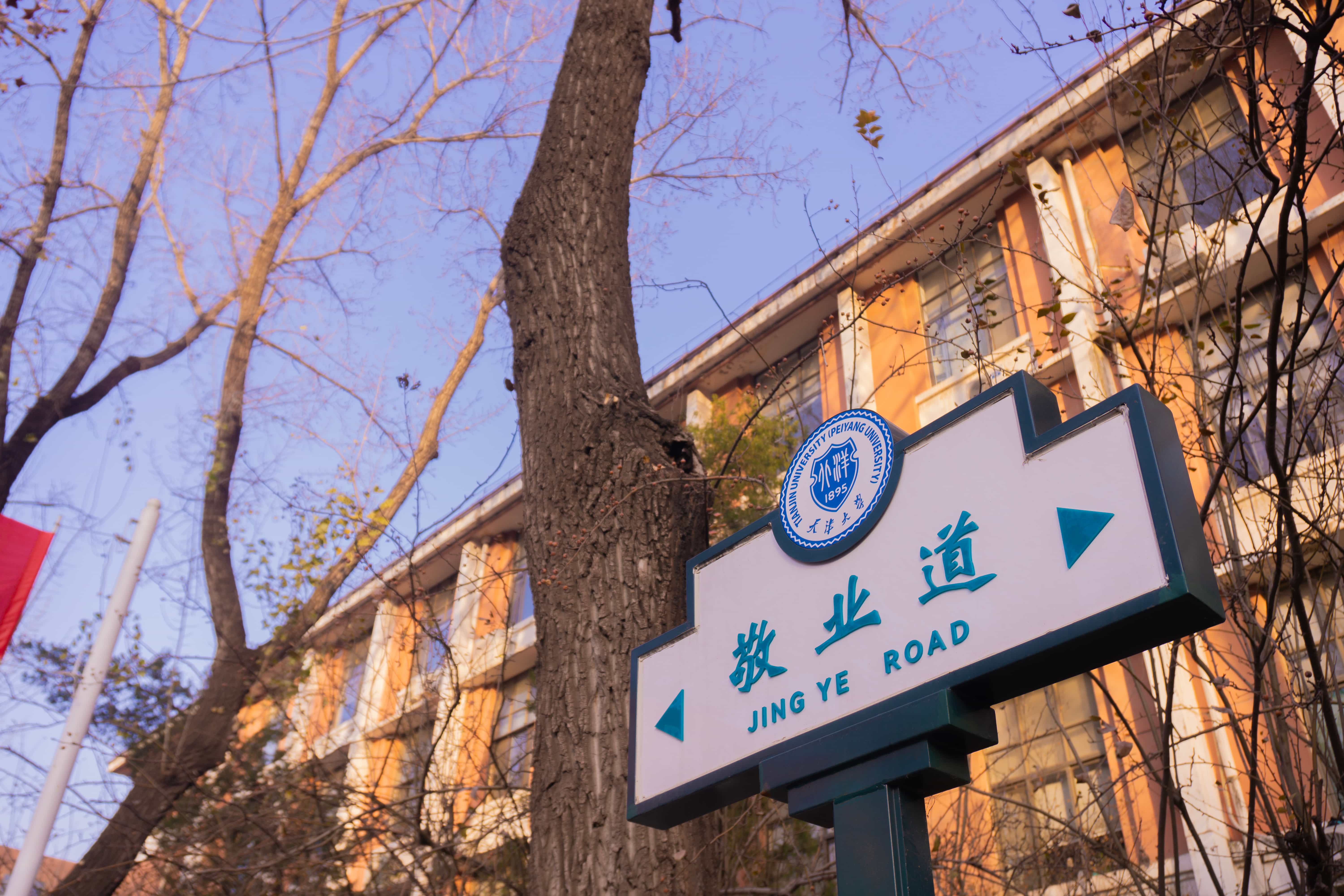https://file.y1xuanyun.cn/photo/t1.jpg